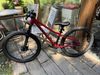 Rascal Wild 24”