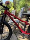 Rascal Wild 24”