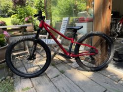 Rascal Wild 24”