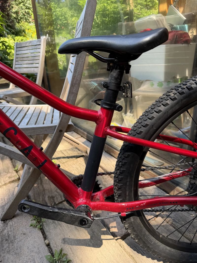 Rascal Wild 24”