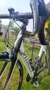 Specialized Tarmac