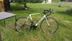 Specialized Tarmac