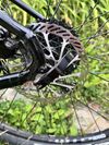 Custom GT Avalanche Elite 2024
