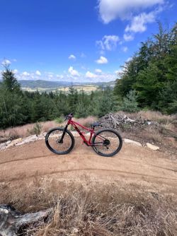 Custom GT Avalanche Elite