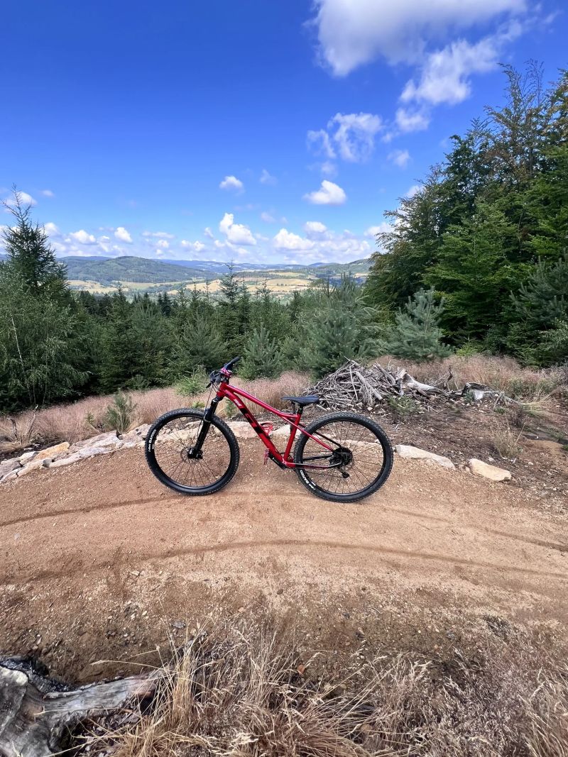Custom GT Avalanche Elite 2024