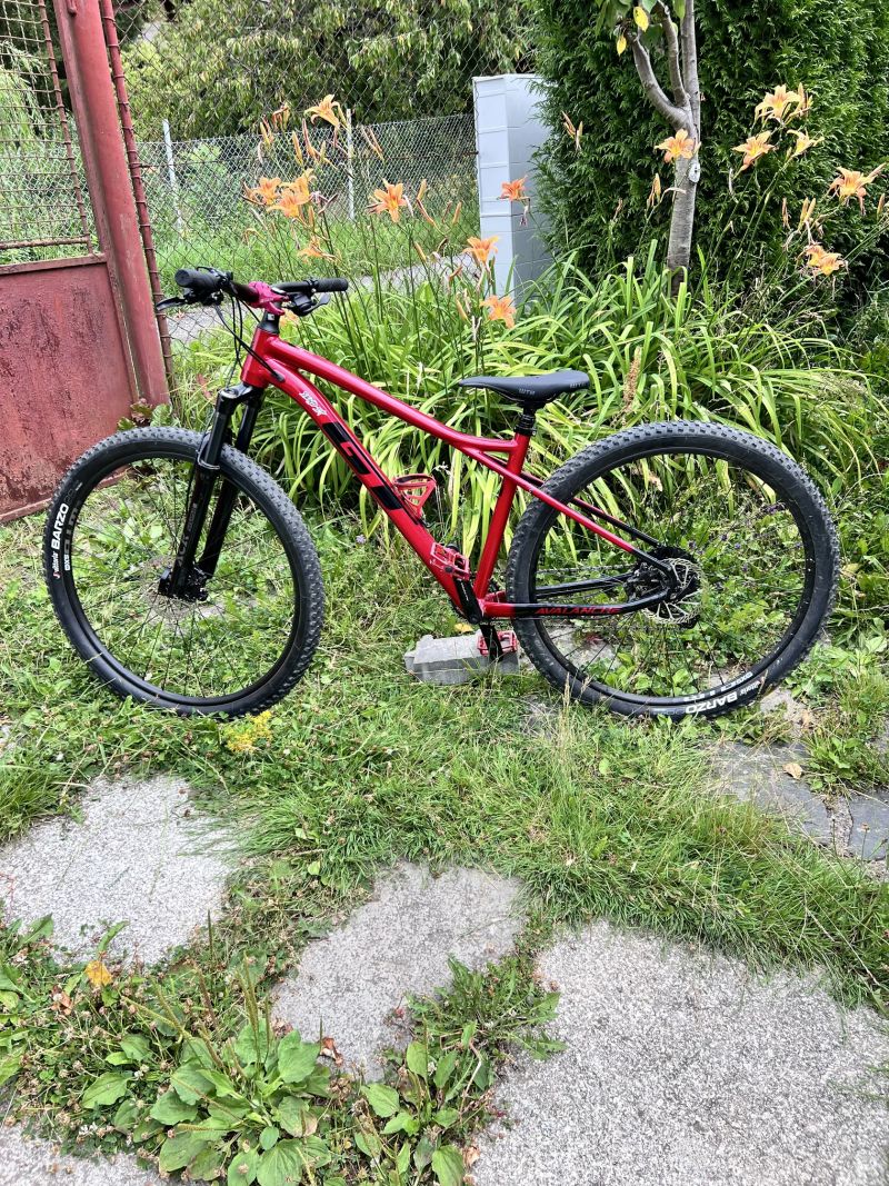 Custom GT Avalanche Elite 2024