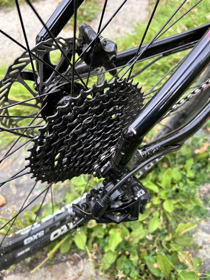 Custom GT Avalanche Elite 2024