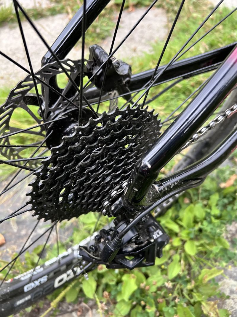 Custom GT Avalanche Elite 2024