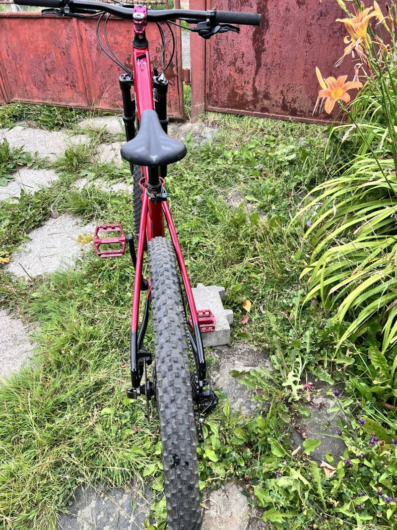 Custom GT Avalanche Elite 2024