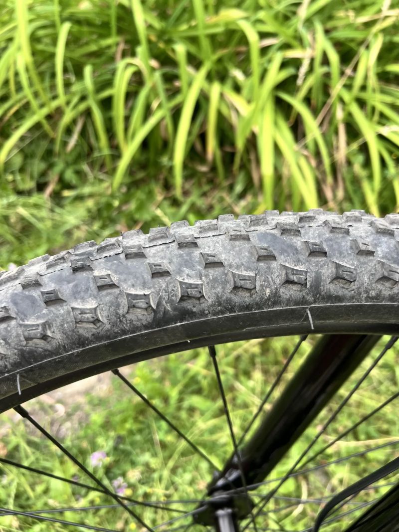 Custom GT Avalanche Elite 2024