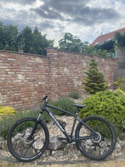 Rockrider St530