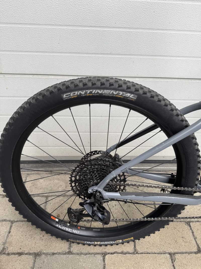 Trek Roscoe 8