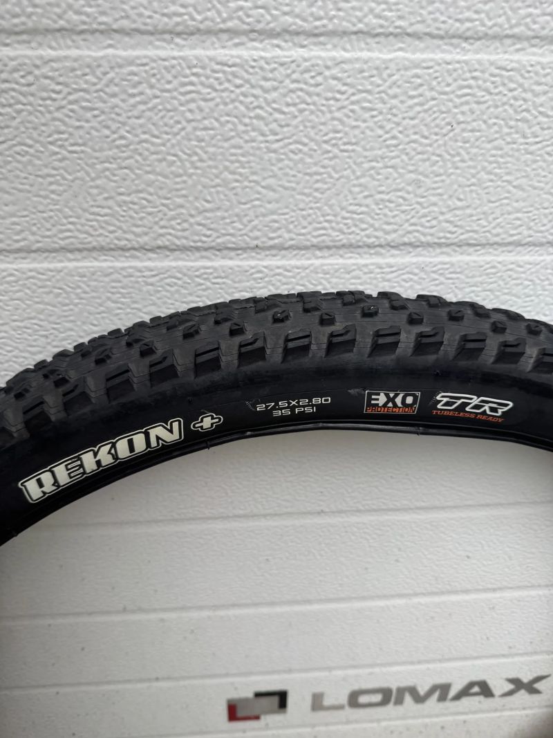 Trek Roscoe 8