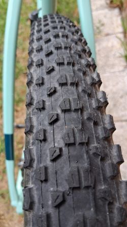2 x Maxxis Ikon 29x2.20 