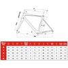 Cinelli Very Best Of - XL