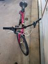 Core Nipper 24”
