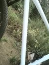 Specialized Chisel HT Comp 2025
