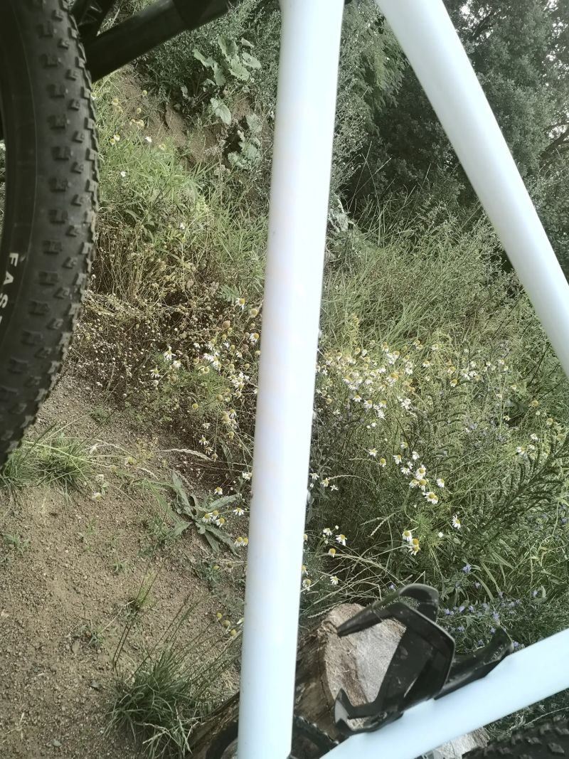 Specialized Chisel HT Comp 2025