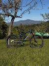 Specialized Epic