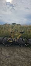 Rose AL Apex GRX-M