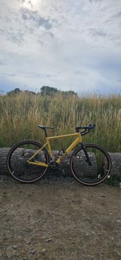 Rose AL Apex GRX-M