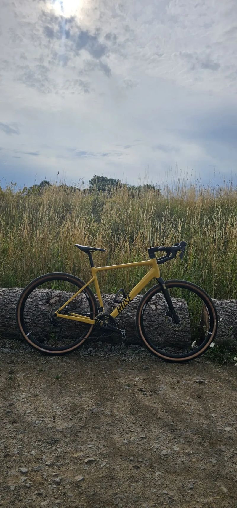 Rose AL Apex GRX-M