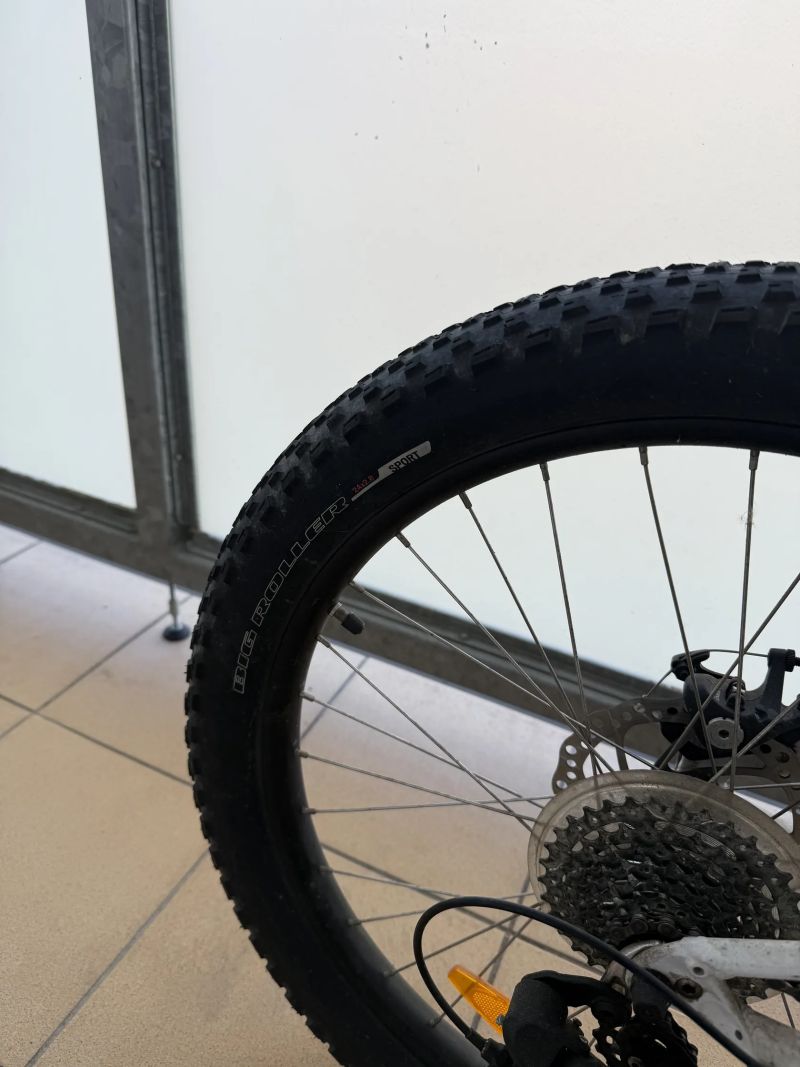 Specialized RipRock 24"