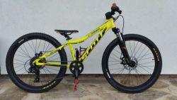 Scott Scale 24 Disc