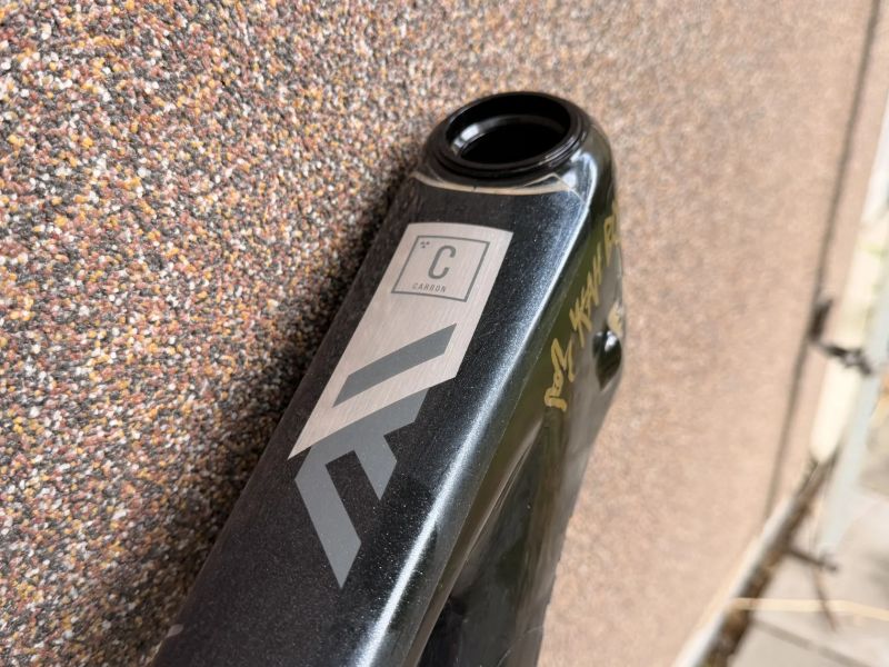 Nukeproof Mega 290C
