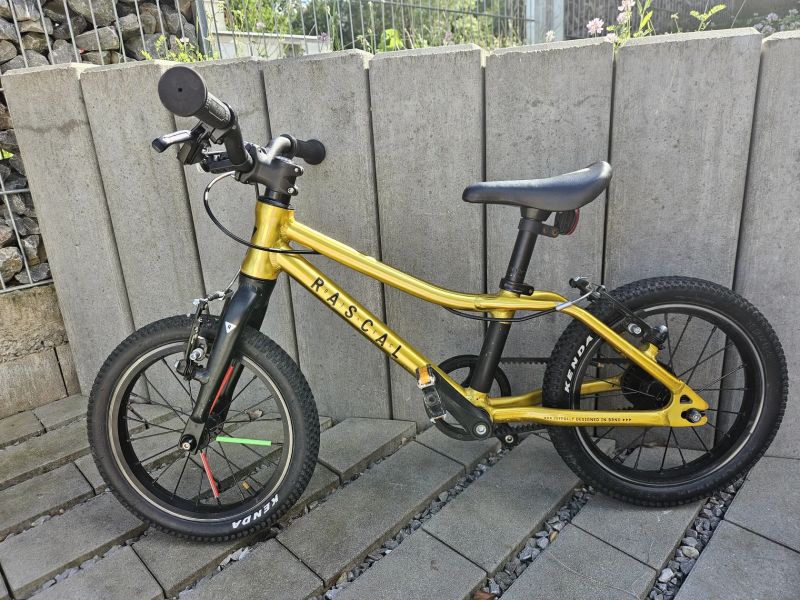 Rascal 14" zlatý 