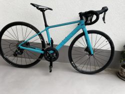 Canyon Endurace CF SL 3XS