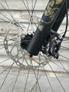 Orbea Wild LT H10 2025 – EP8 RS | Fox 36 Performance | XT | Vel. L