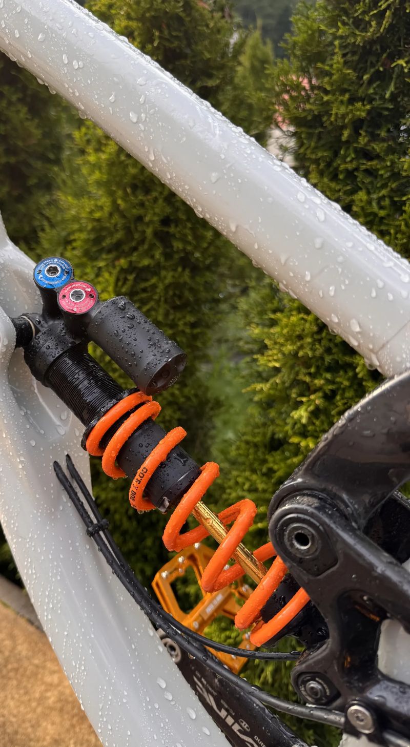 Saracen myst Carbon 