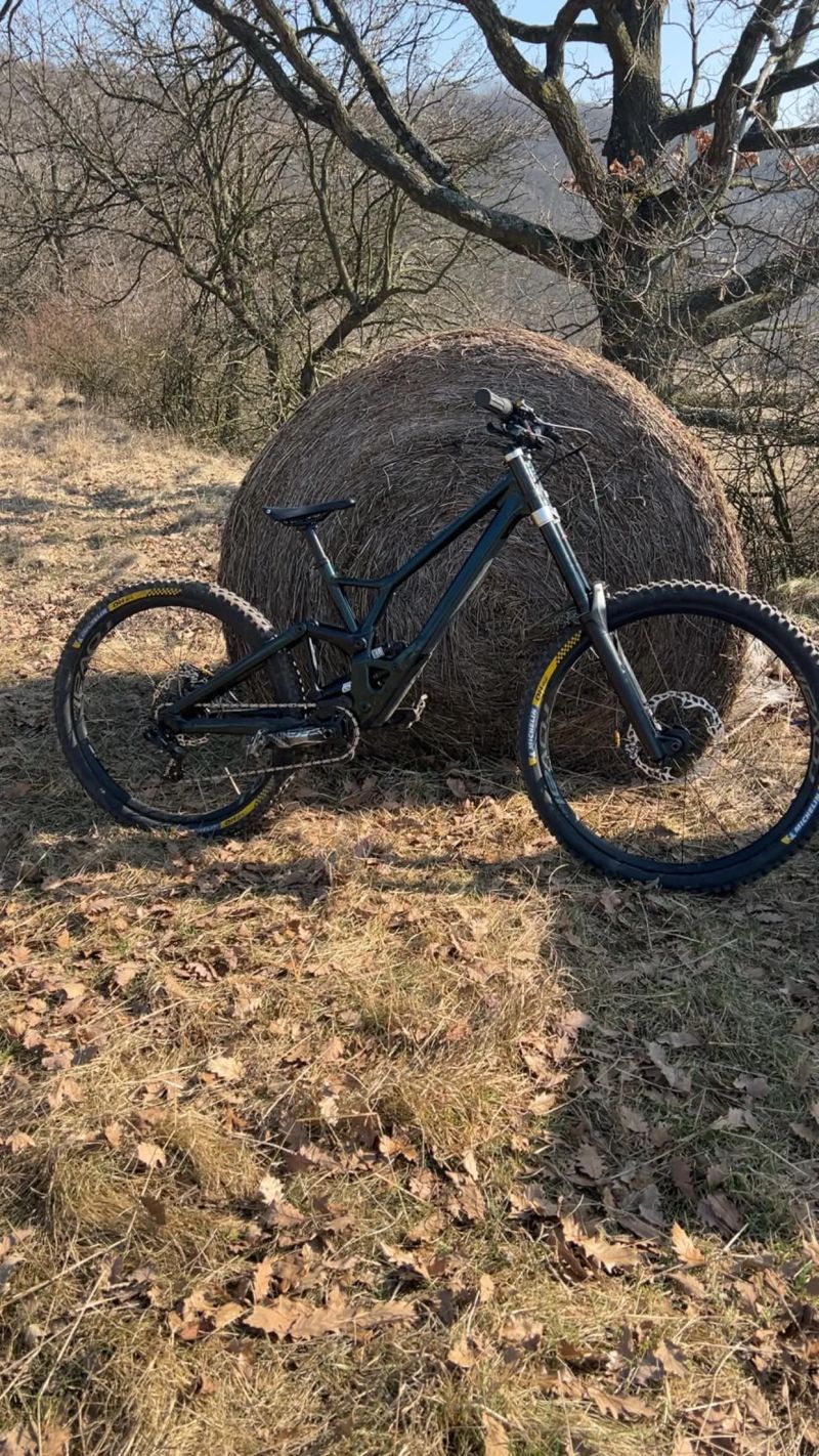 Specialized demo expert 2023