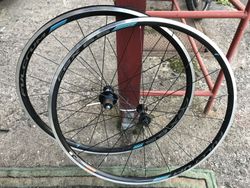 Fulcrum CEX 6.5