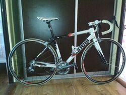 CINELLI WILLIN