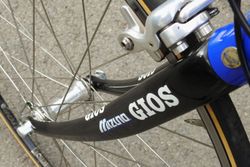 Gios Carbon Plus rok 2002