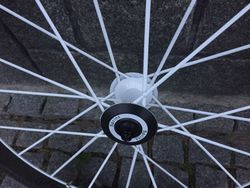 LIGHTWEIGHT SPRINT