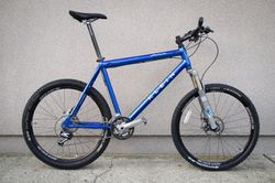 Klein Attitude XV