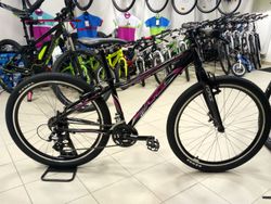 Force Amelia 14,5"