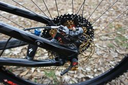 Specialized Epic Expert