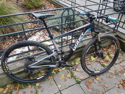 Giant Anthem X Advanced 29er 1