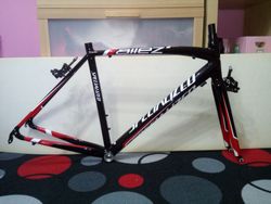 Specialized Allez
