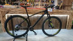 FOCUS RAVEN ELITE 29"
