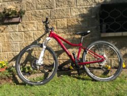 Trek Mynx S vel 15,5