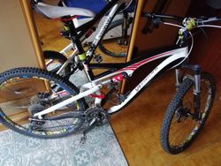 specialized camber