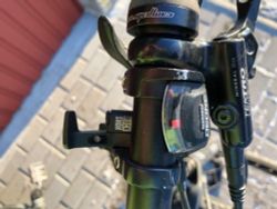 MTB Focus Grey