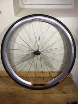 Campagnolo Zonda (pouze zadní kolo)