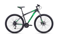 CTM REIN 3.0 MODEL 2018