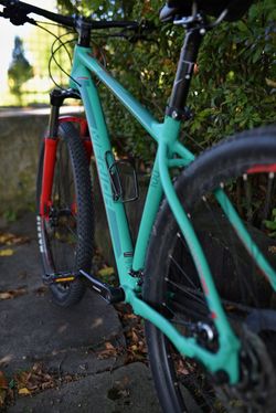 Merida